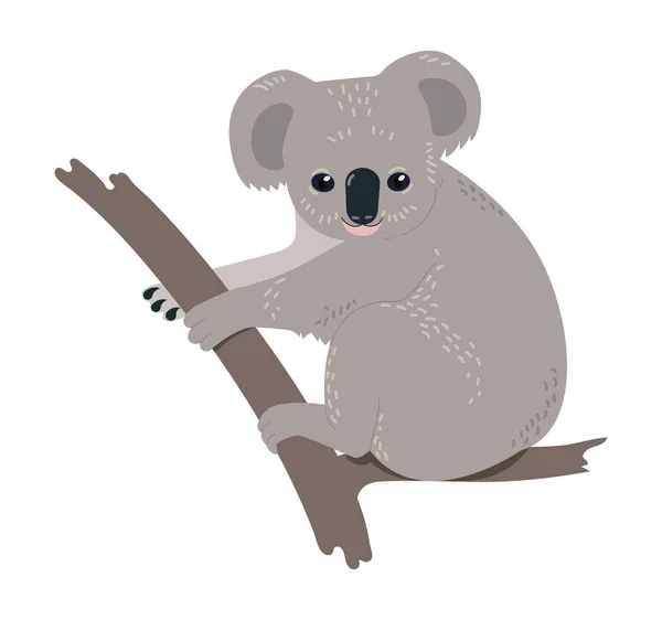 Koala που κάθεται στο υποκατάστημα — Διανυσματικό Αρχείο
