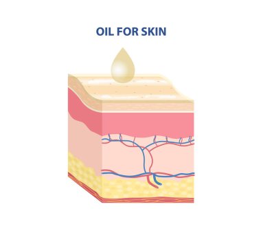 Cilt Tipi Yapıştırıcısı