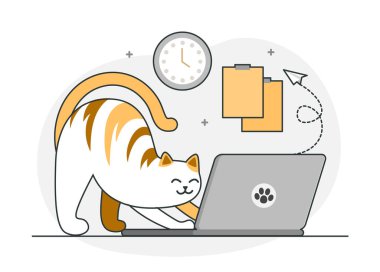 Şirin kedi resim
