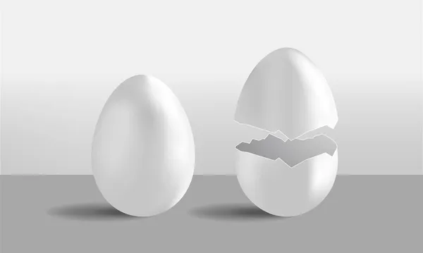 Weißes geknacktes Ei — Stockvektor