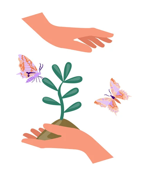 Hände mit Jungpflanzenkonzept — Stockvektor