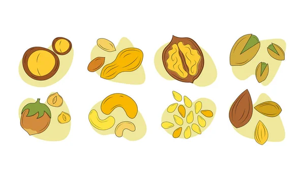 Set of nuts — Stock Vector