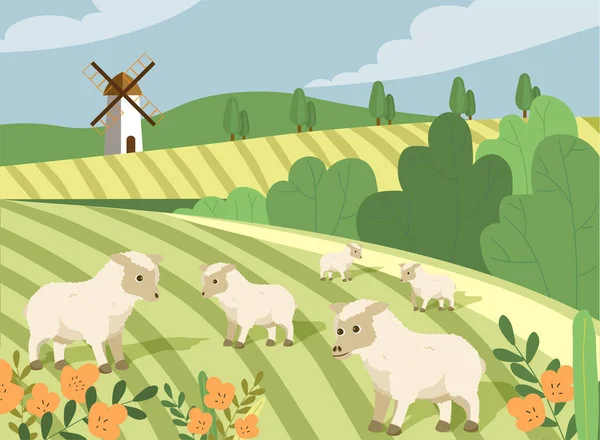 Vee van schapen — Stockvector