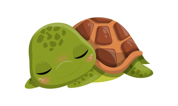 Lindo sueño tortuga — Vector de stock