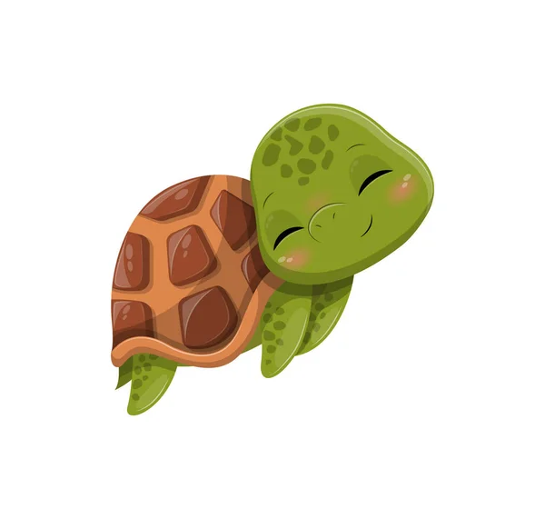 Очаровательная черепаха — стоковый вектор
