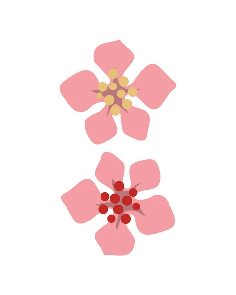 Conjunto de flores rosa — Vetor de Stock