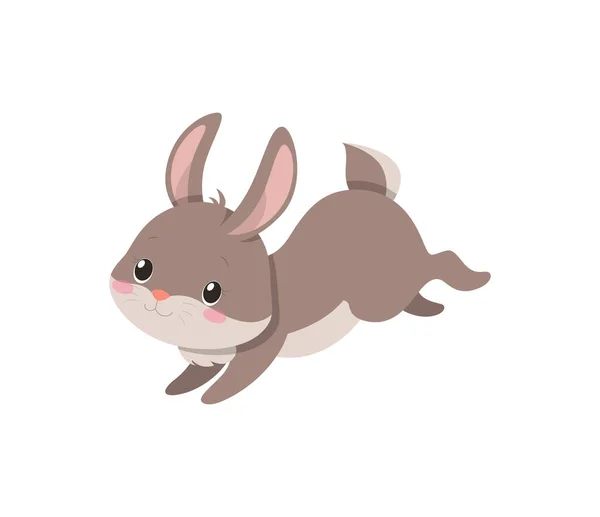 Sevimli tavşan atlayışı. — Stok Vektör