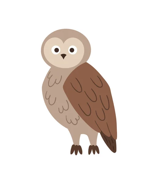 Small light grey owl — Vetor de Stock