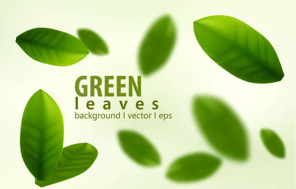 Zelené listy pozadí — Stockový vektor