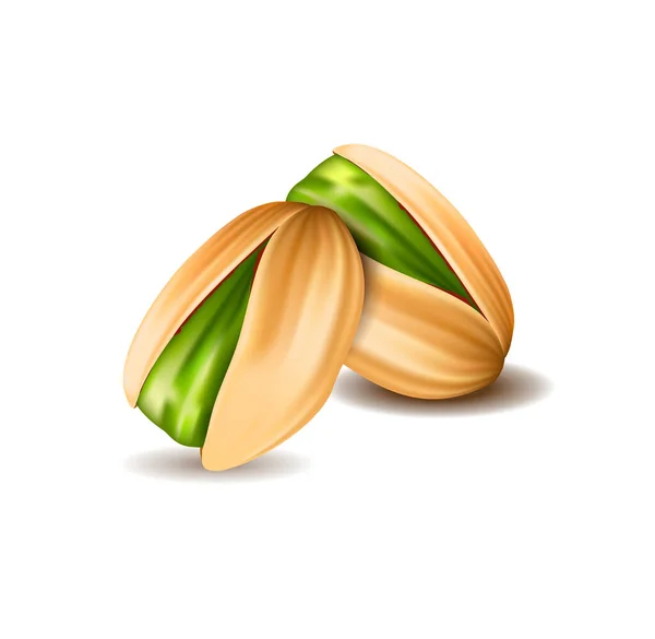 Realistic nut concept — Image vectorielle