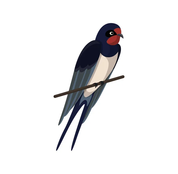 Cute swallow concept — Stok Vektör