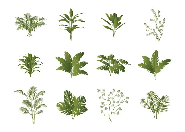 Conjunto de plantas tropicales — Archivo Imágenes Vectoriales
