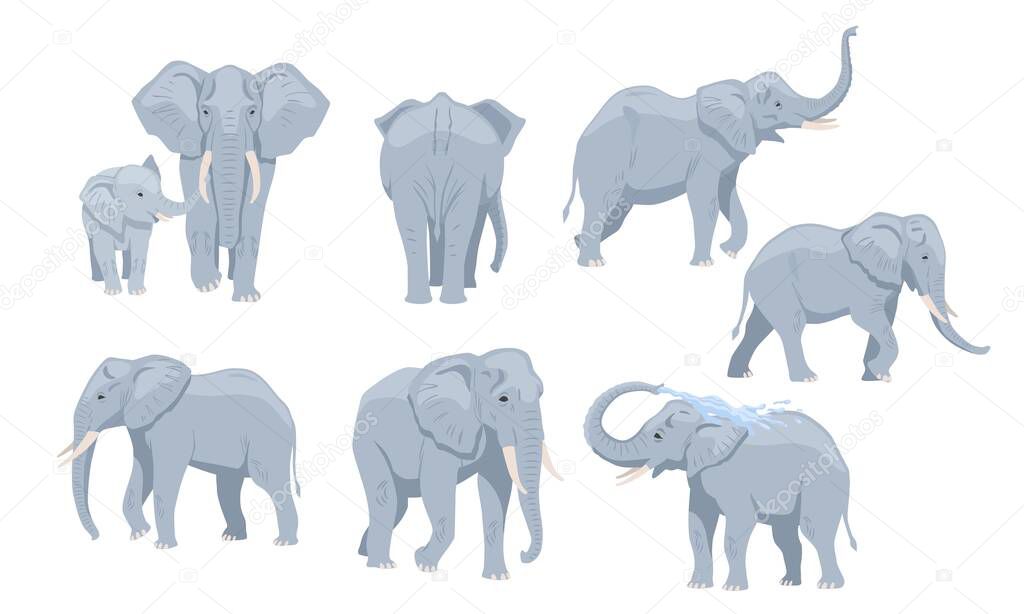Set of big gray african elephants