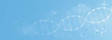DNA moleküllü pankart. Tıp ve genetik mühendisliği, yenilikler ve modern teknolojiler. Bilimsel araştırma, tıbbi web siteleri için minimalist poster. Çizgi film düz vektör çizimi