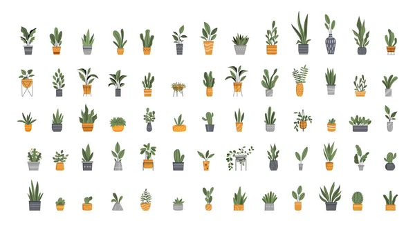 フラワーポットビッグセット ウェブサイトやソーシャルネットワークステッカーの要素の収集 ガーデニングと植物 異なる植物と花 白い背景に隔離された漫画の平らなベクトルのイラスト — ストックベクタ