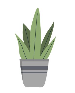 Yeşil yapraklı saksı. Ev dekorasyonu için güzel bitkiler. Moda mobilya dairesi için elementler. Modern ve minimalist stil, sosyal medya etiketleri. Çizgi film düz vektör çizimi