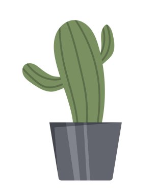 Kaktüslü saksı. Evlerde rahat ve rahat atmosfer için elementler, apartmanlar ve binalar için dekorasyon. Modern, moda, modaya uygun ve minimalist tarzda. Çizgi film düz vektör çizimi