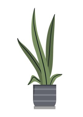 Yapraklı saksı. Gri vazoda bitki, apartman ya da ev dekorasyonu. Kafe ya da restoran elementleri, minimal tasarım, moda ve moda, lüks. Çizgi film düz vektör çizimi