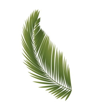Tropik bitki ikonu. Bereketli gerçekçi palmiye veya yeşil eğreltiotu yaprağı. Egzotik çiçek. Pankartlar için tasarım ögesi. Çevre ve doğa. Çizgi film gradyan vektör çizimi beyaz arkaplanda izole edildi
