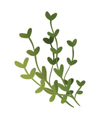 Tropik bitki ikonu. Kalp şeklinde yaprakları ve ince sapları olan küçük yeşil otlar. Posterler için tasarım ögesi. Çevre ve doğa. Çizgi film gradyan vektör çizimi beyaz arkaplanda izole edildi