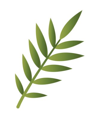 Tropik bitki ikonu. Orta yeşil oval şekilli orman ağacı dalları. Posterler için tasarım ögesi. Çevre ve doğa. Çizgi film gradyan vektör çizimi beyaz arkaplanda izole edildi