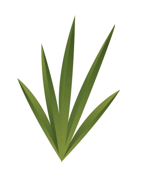 Tropik Bitki Ikonu Uzun Yapraklı Güzel Yeşil Aloe Dalı Egzotik — Stok Vektör