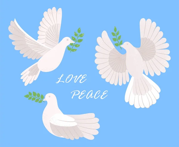 Dove Peace Concept Beautiful White Birds Hold Olive Branches Fly —  Vetores de Stock