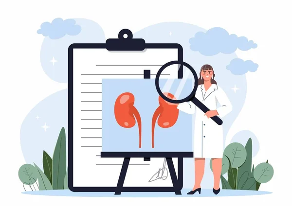 Kidney Treatment Concept Woman Magnifying Glass Examines Internal Organs Person — Διανυσματικό Αρχείο