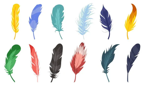 Set Colorful Feathers Collection Graphic Elements Website Birds Nature Animals — Archivo Imágenes Vectoriales