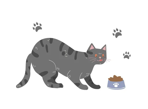Cat Food Gray Kitten Looks Bowl Sticker Social Networks Love — Stock Vector