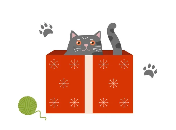 Cat Box Gray Kitten Looks Bowl Sticker Social Networks Character — Stock Vector