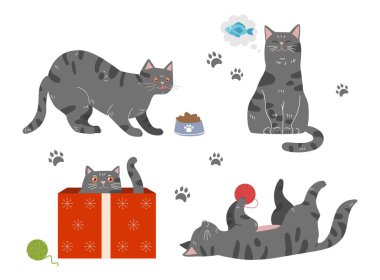 Set of cats. Collection of graphic elements for printing on clothes. Kitten hides in box, plays with ball and eats food from bowl. Cartoon flat vector illustrations isolated on white background