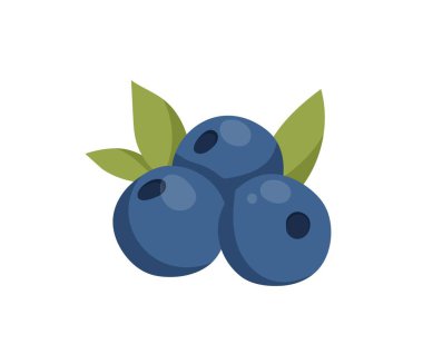 Three blueberry icon. Fresh and natural products, fruits and vegetables. Stickers for social networks, graphic elements for website. Delicious juicy berries. Cartoon flat vector illustration