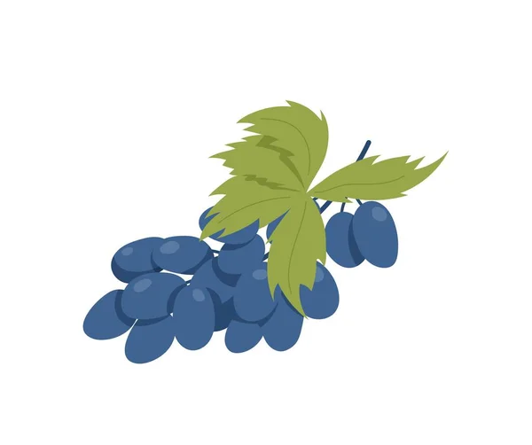 Grape Branch Icon Fresh Natural Products Fruits Vegetables Vegetarian Diet — Vettoriale Stock