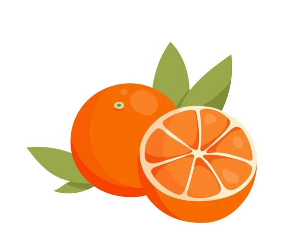 Orange Slice Fresh Natural Products Fruits Vegetables Citrus Full Half —  Vetores de Stock