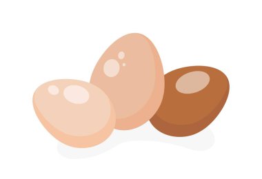 Set of chiken eggs. Natural, fresh and organic products, protein and yolk. Icon for social networks and graphic elements for website. Fried eggs and omelet ingredient. Cartoon flat vector illustration
