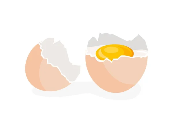 Chicken Broken Egg Natural Fresh Organic Products Protein Yolk Steps — ストックベクタ