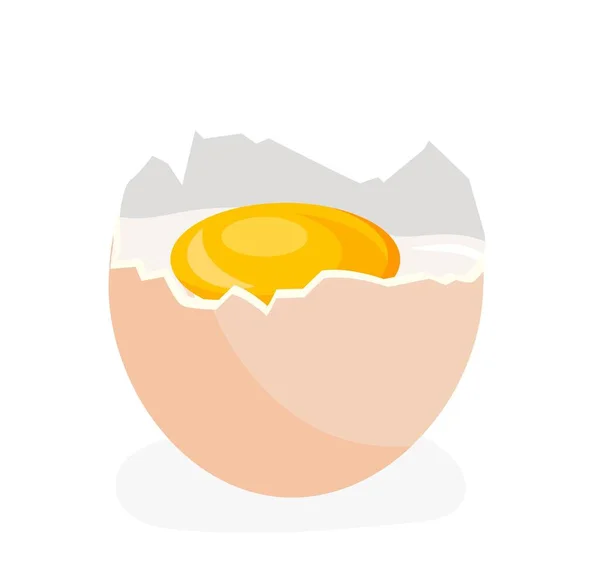 Chicken Broken Egg Natural Fresh Organic Products Protein Yolk Recipes — Wektor stockowy