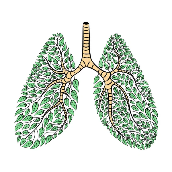 Концепция здоровых легких — стоковый вектор