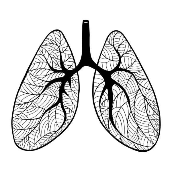 Pulmones arte aislado sobre fondo blanco Vector de stock