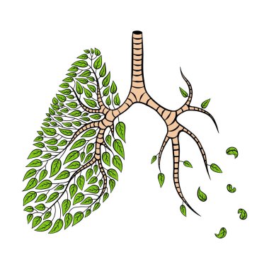 Akciğer hastalığı konsepti. Bir yarısı yeşil yapraklı, diğer yarısı da düşen iç organla çizilmiş. Vektör illüstrasyonu.