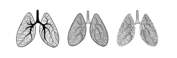 Conjunto de pulmones dibujados a mano lindo y creativo Ilustraciones de stock libres de derechos