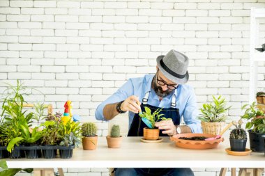 Büyük beyaz adam ya da bıyıklı büyükbaba evdeki ağaç için bahçe işlerinden hoşlanırlar. emeklilik aile yaşam tarzı konsepti