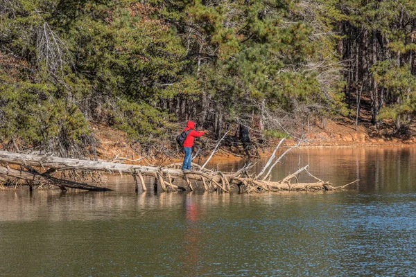 One man standing on top of a fallen tree that is out into the water casting near the shoreline fishing on the lake on a sunny day in autumn