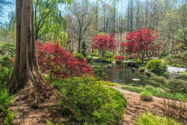 Ball Ground Géorgie États Unis Avril 2018 Beaux Jardins Japonais Image En Vente