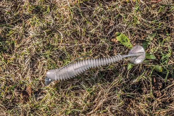 Uma Isca Pesca Borracha Espumante Descartada Com Uma Cauda Gancho — Fotografia de Stock