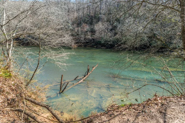 Sur Sentier Dessus Rivière Regardant Vers Bas Travers Eau Transparente — Photo