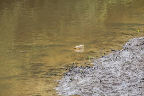 濁った水の泥の海岸に沿って流れのある小川を浮遊しているキャップを持つプラスチックボトルは 水路を汚染する — ストック写真