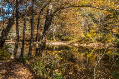 Sonbaharda güneşli bir günde, ormanın değişen renklerini yansıtan derenin yanındaki ağaçların gölgesinde duruyorum.