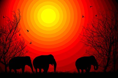 Afrika günbatımı arka planında filler ve ağaçlar siluetleri, vektör illüstrasyonu